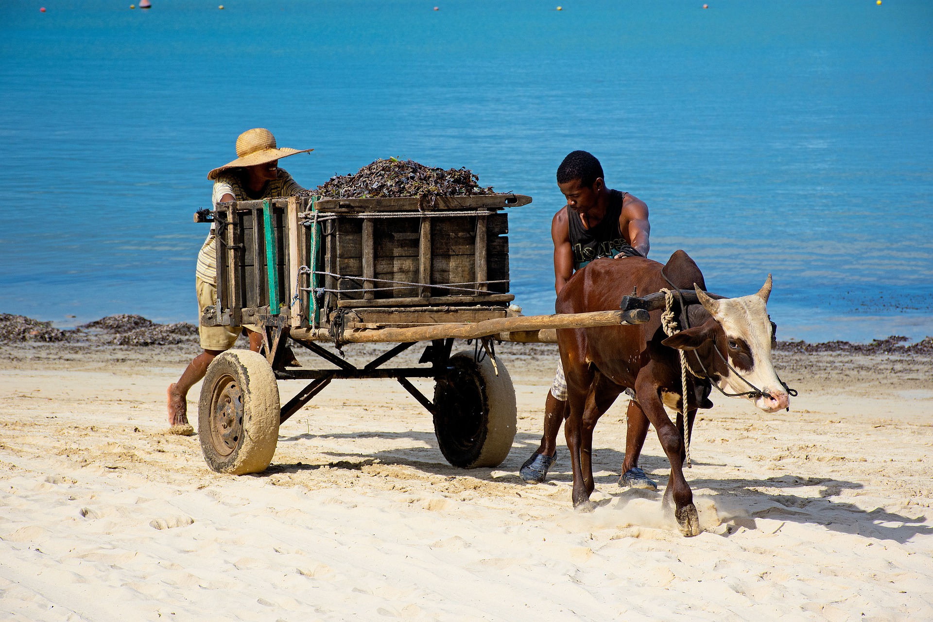 Avant : dependance / Apres : autonomie commerciale et croissance durable