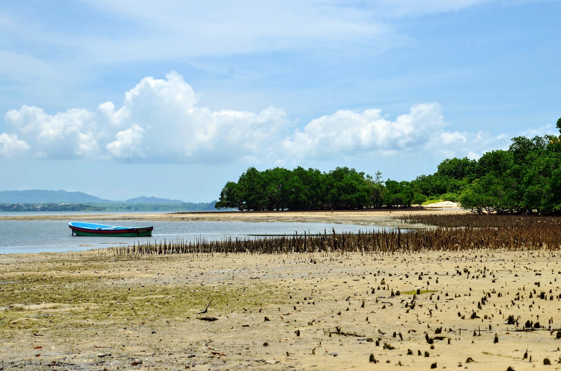 Comment construire une reputation fiable pour attirer des clients internationaux